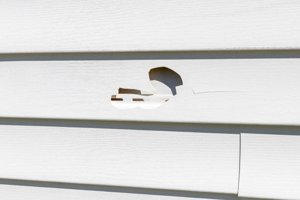 Best Weatherproofing and Sealing  in Robertsville, NJ
