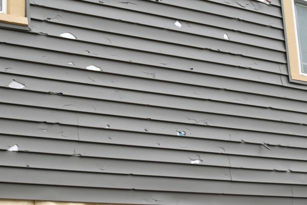 Best Fascia and Soffit Installation  in Robertsville, NJ
