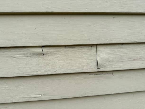 Best Storm Damage Siding Repair  in Robertsville, NJ